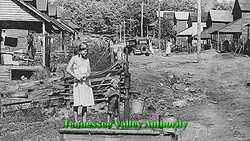 The End of the Great Depression and the Impact of FDR’s New Deal Instructional Video