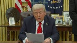 Trump Orders 25% Tariffs on Steel and Aluminum News Clip