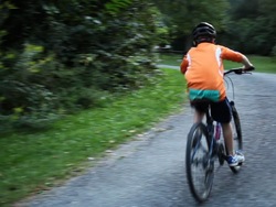 Cuidando la salud de la tierra: video de evaluación Instructional Video