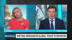 Citigroup's Wieting Says Pricing of Financial Markets Globally Has Been Idiosyncratic News Clip