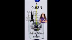 A Buoyant Force Mystery: What Does the Scale Say? Instructional Video