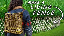 Is This the Most Useful Plant on EARTH? Instructional Video