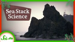 How Washington Became a Ship Graveyard: A SciShow Field Trip #3 Instructional Video