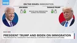 Pres. Trump And Biden Have Radically Different Immigration Platforms News Clip