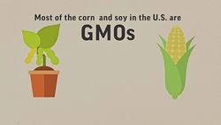 Using gene editing techniques to solve old farming problems ++ANIMATION++ Instructional Video