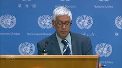 United Nations releases statement on Alexei Navalny's sentencing News Clip