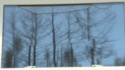 Evacuee returns home as Long Lake wildfire now considered under control News Clip