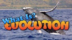 How Evolution Works Instructional Video