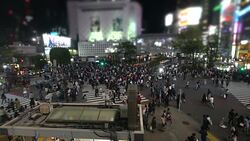 Slow motion people at Shibuya Crossing at night Tokyo, Japan Stock Footage