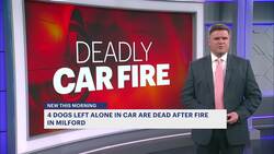 Authorities: 4 dogs left alone in car dead after fire in Milford News Clip