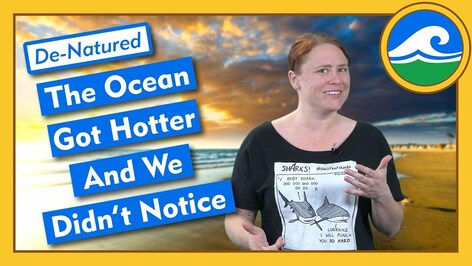 The Ocean Got Hotter and We Didn't Notice - De-Natured