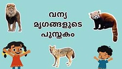Introduction to Wild Animals - Malayalam Instructional Video