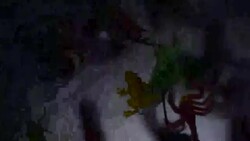 Atmosphere of Halloween Stock Footage