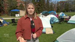 Pro-Palestinian protesters vow to stay at the University of Alberta until demands are met News Clip