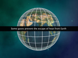 Carbon Cycle Instructional Video