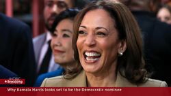 Why Kamala Harris looks set to be the Democratic nominee Instructional Video