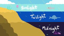 Make the Ocean in a Jar! Instructional Video