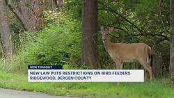 Ridgewood puts restrictions on bird feeders to help keep deer away News Clip