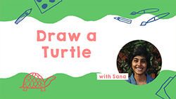Turtle Drawing Guide Instructional Video