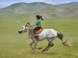 The Importance of Sincerity: Learning from Felicitas the Flamingo Instructional Video