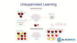 Data Science and Machine Learning (Theory and Projects) A to Z - Process of Learning from Data: Unsupervised Learning and Reinforcement Learning Instructional Video