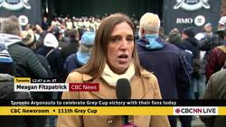 Toronto Argonauts fans rally with their team to celebrate Grey Cup win News Clip