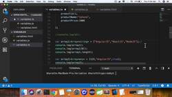TypeScript for Beginners - Adding Comments Instructional Video