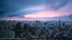 Best Time to Visit Tokyo Instructional Video