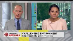 Project halted News Clip