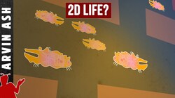 Can Life Exist in a Two-Dimensional Universe? Instructional Video