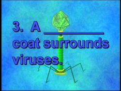 Viruses and Monerans: Video Quiz Instructional Video