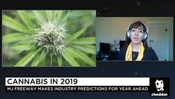 Cheddar's Crystal Ball: The 2019 Outlook for Cannabis and Hemp News Clip