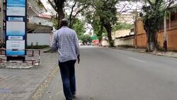 CLEAN : Abidjan bats inspire fascination and concern News Clip