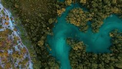 mangrove swamps at Mafia Island, Tanzania Stock Footage