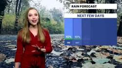 Heading into the weekend with sunny and cool temperatures for Brooklyn News Clip