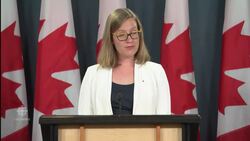 Cyberattacks expected in 2019 election News Clip