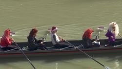 Traditional New Year's Day plunge into River Tiber News Clip