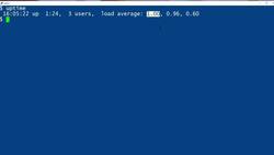 How to use the uptime command: 2-Minute Linux Tips Instructional Video
