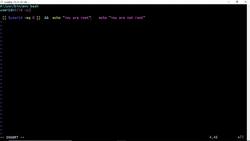 Bash Shell Scripting- Simple Shell Script to verify the user is root or not and User is having sudo Instructional Video