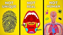 6 Myths Debunked About The Human Body Instructional Video