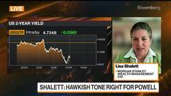 Morgan Stanley's Shalett Prefers Bonds Over 'Very Vulnerable' US Stocks News Clip