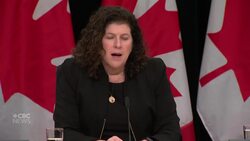 Outside vendor 'likely limited competition' in ArriveCan proposal process, auditor general says News Clip