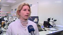 Belgian scientists look to mass algae farming for future of food reserves News Clip