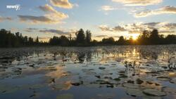 EPA Officially Scraps Obama-Era Clean Water Regulation News Clip