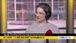 Tips for travelling with your dog. News Clip