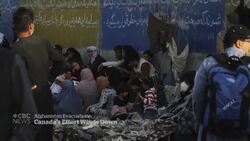 Thousands left behind as Canada’s evacuation mission in Afghanistan nears end News Clip