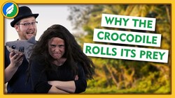 Nature Mythology From Around the World Instructional Video