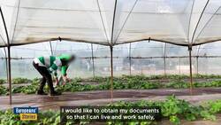 Should irregular migrants be deported to return hubs outside the EU? News Clip