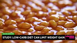 Study: Low-Carb Diet Can Limit Weight Gain News Clip