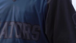 #1 Pitch-Calling Rule for Baseball Players & Coaches Instructional Video